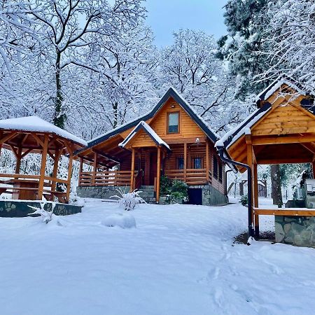 Brvnara Vrsac Villa Exteriör bild