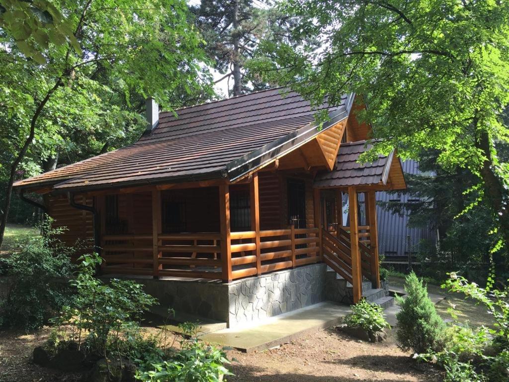 Brvnara Vrsac Villa Exteriör bild