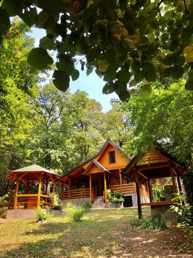 Brvnara Vrsac Villa Exteriör bild