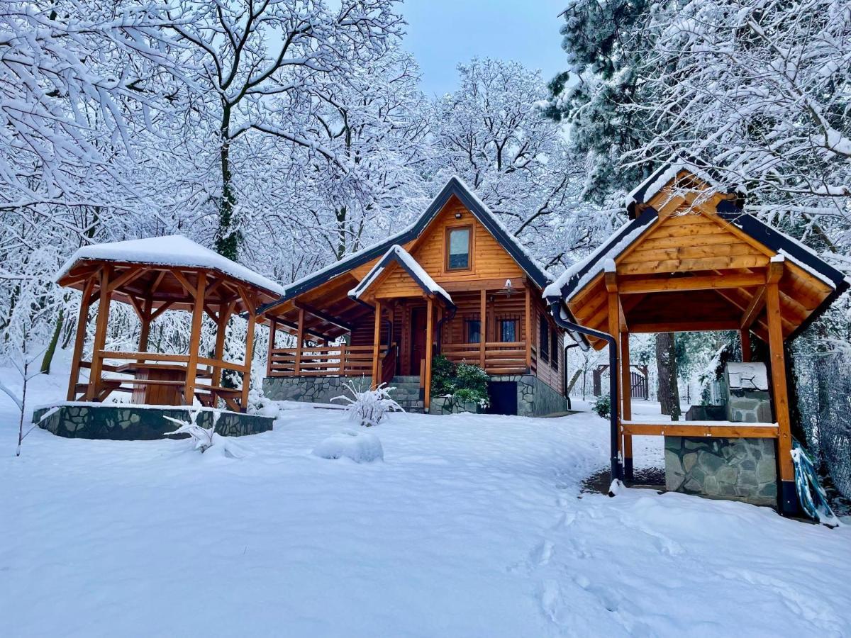 Brvnara Vrsac Villa Exteriör bild