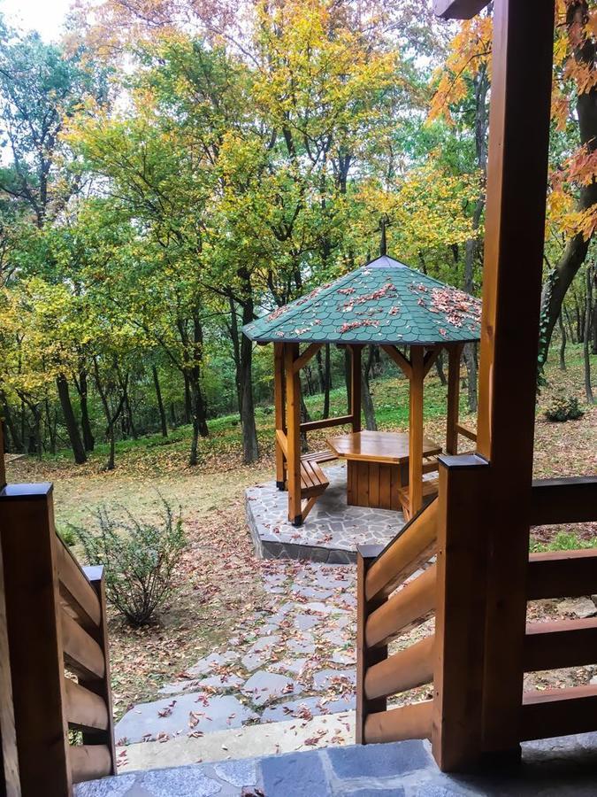 Brvnara Vrsac Villa Exteriör bild