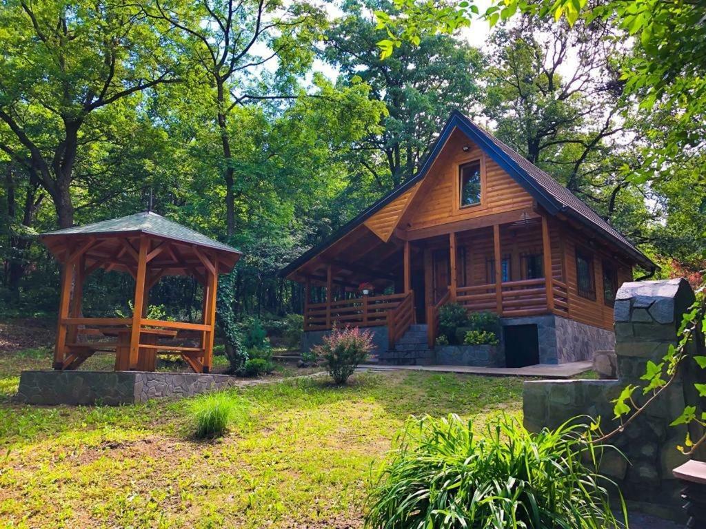 Brvnara Vrsac Villa Exteriör bild