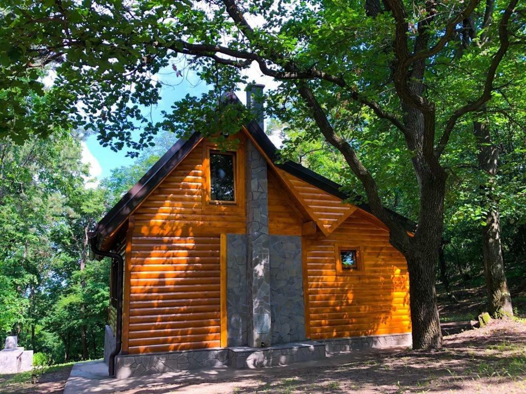 Brvnara Vrsac Villa Exteriör bild